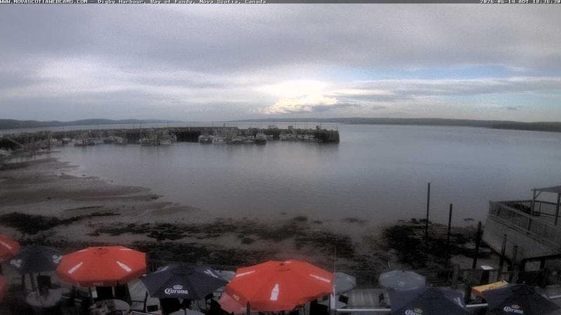 Digby Harbour