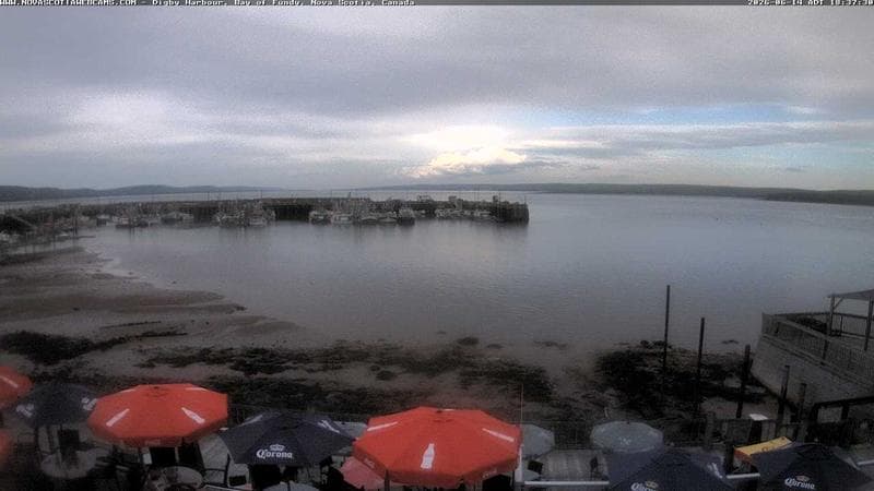 Digby Harbour