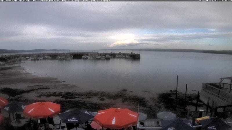 Digby Harbour