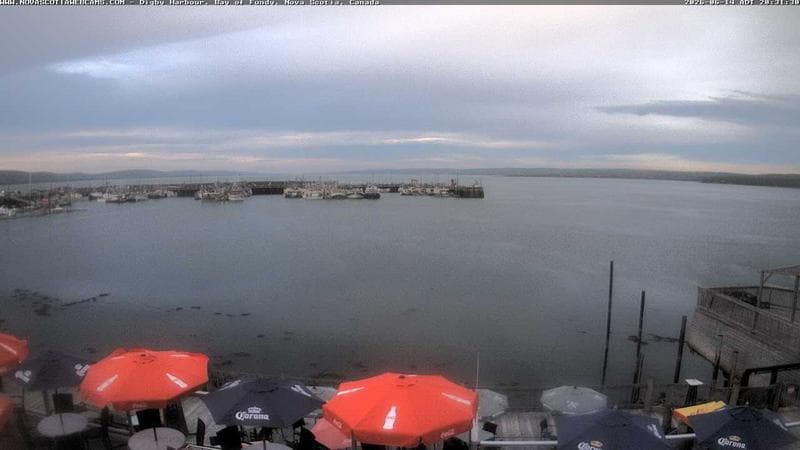 Digby Harbour