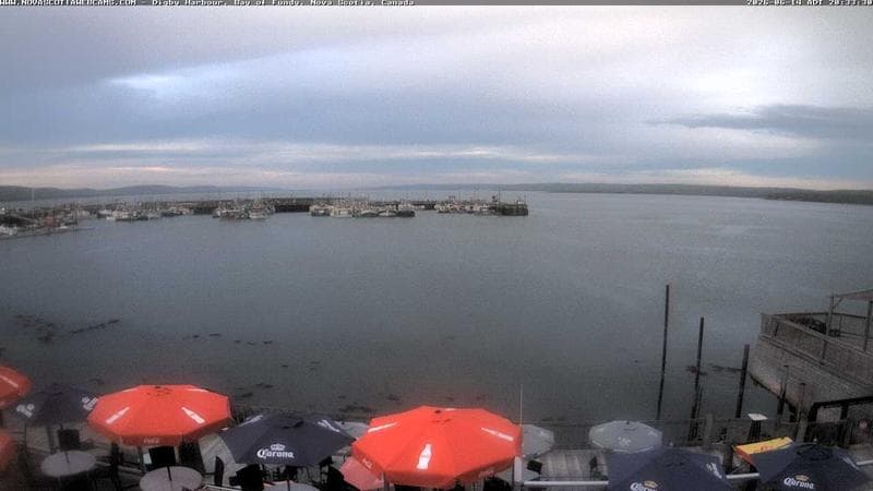 Digby Harbour
