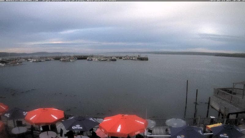 Digby Harbour