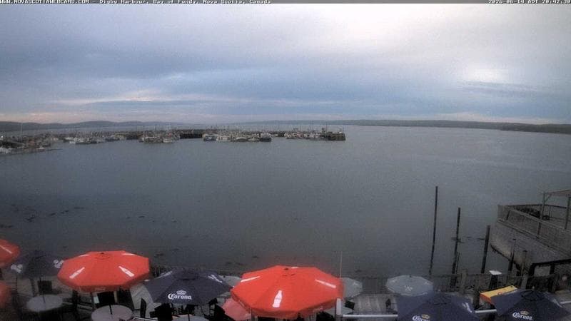 Digby Harbour