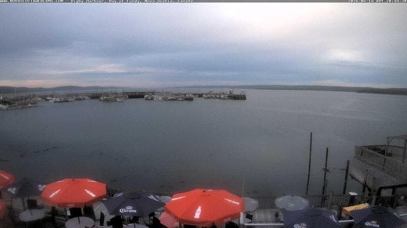 Digby Harbour