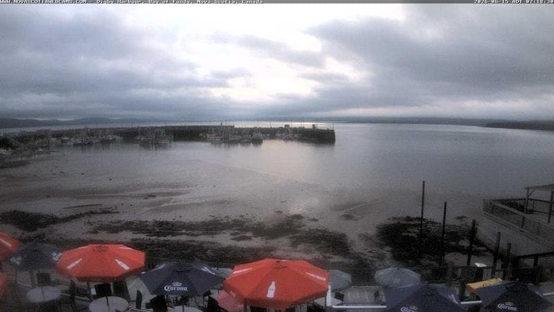 Digby Harbour