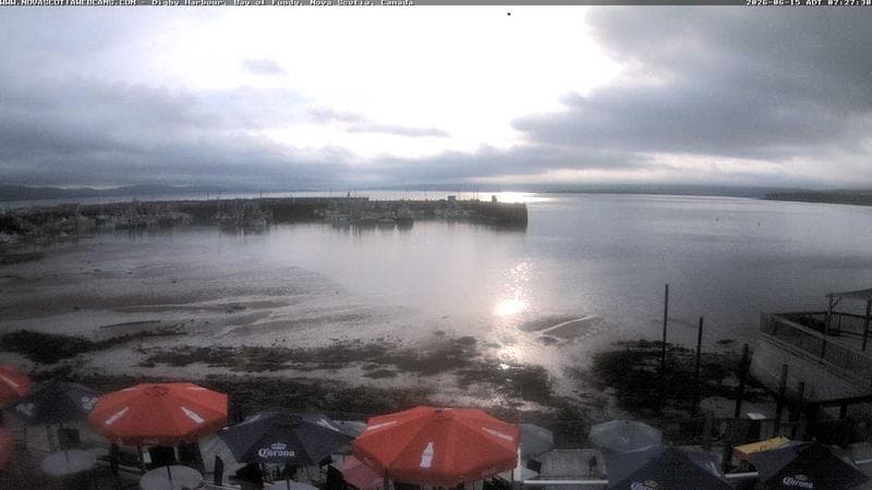 Digby Harbour