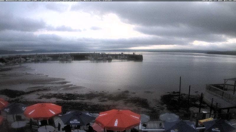 Digby Harbour