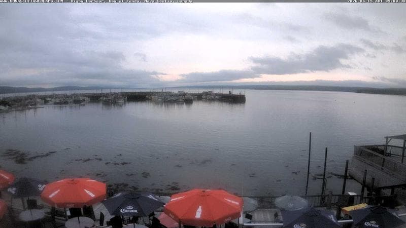 Digby Harbour