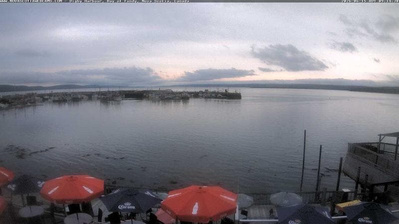 Digby Harbour
