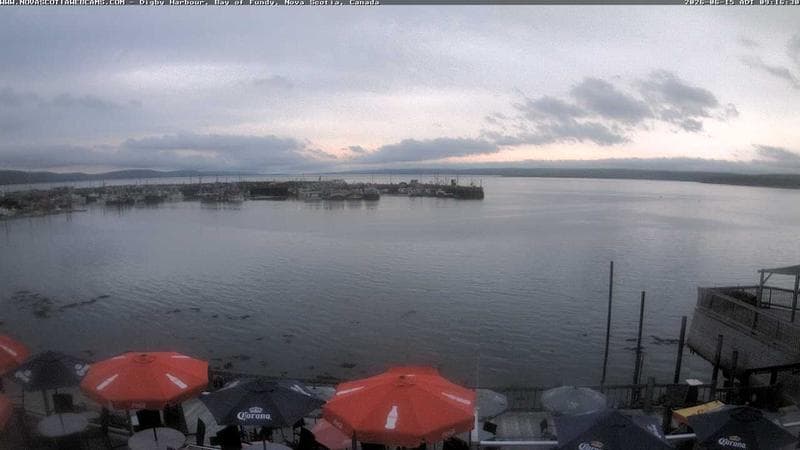 Digby Harbour