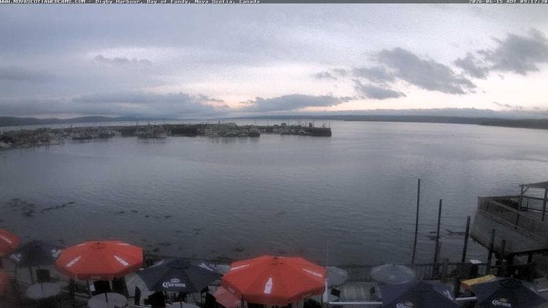 Digby Harbour