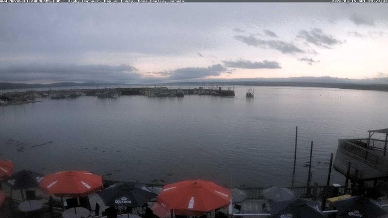 Digby Harbour