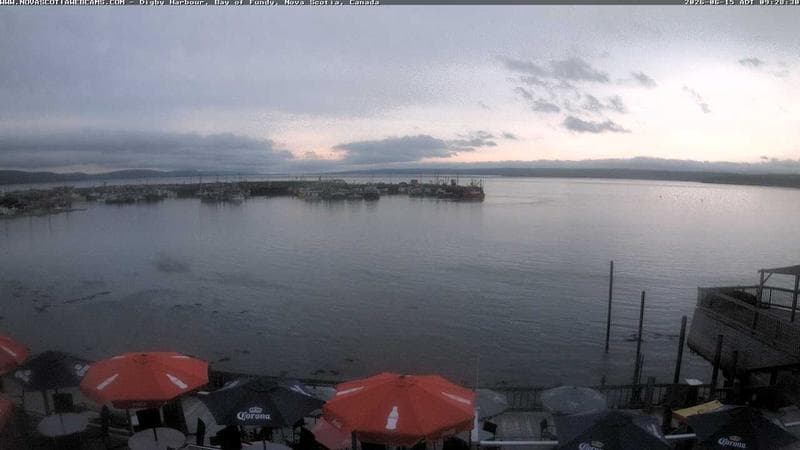 Digby Harbour