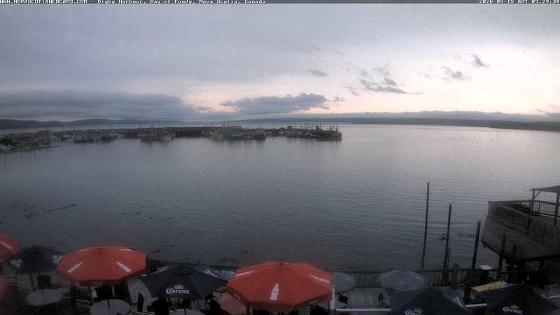 Digby Harbour