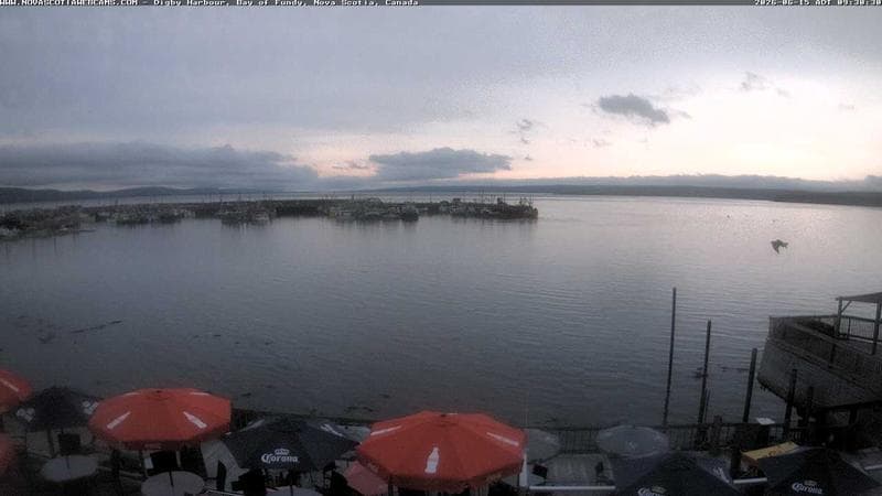Digby Harbour