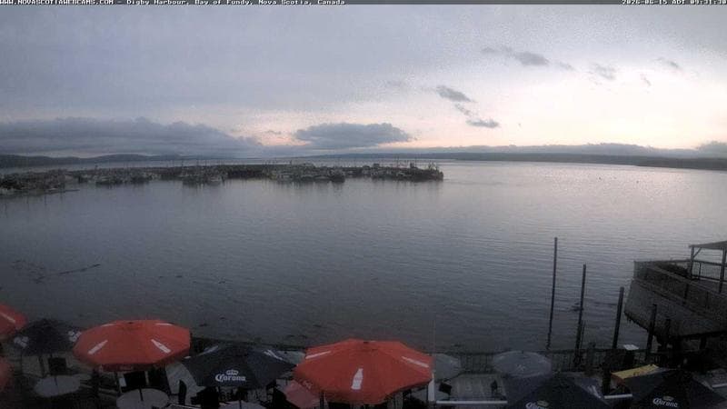 Digby Harbour