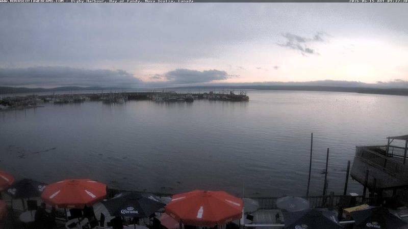 Digby Harbour