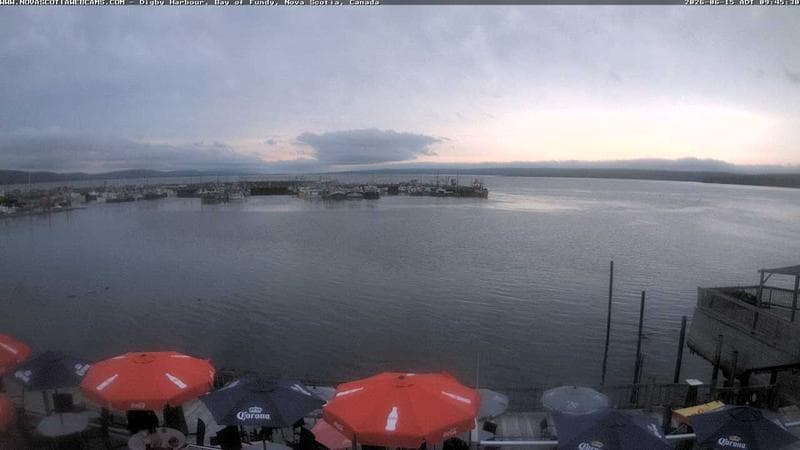 Digby Harbour