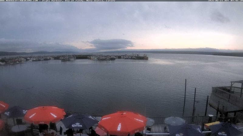 Digby Harbour