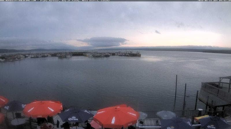 Digby Harbour