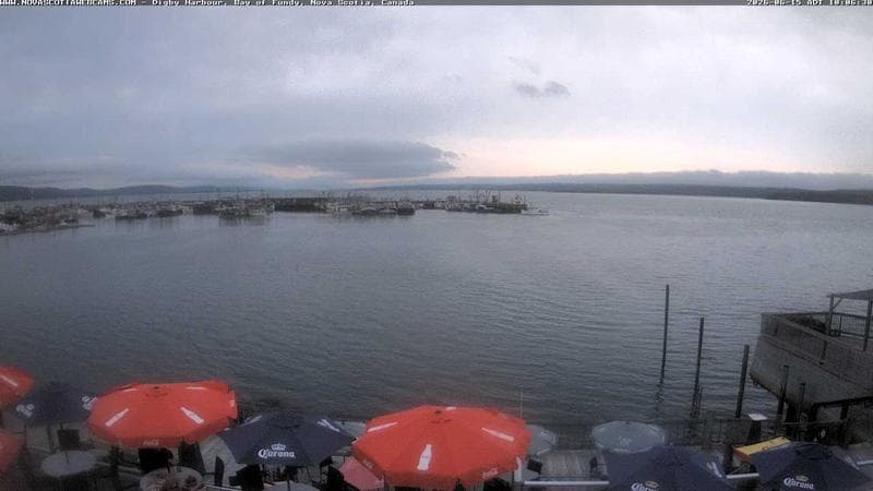 Digby Harbour