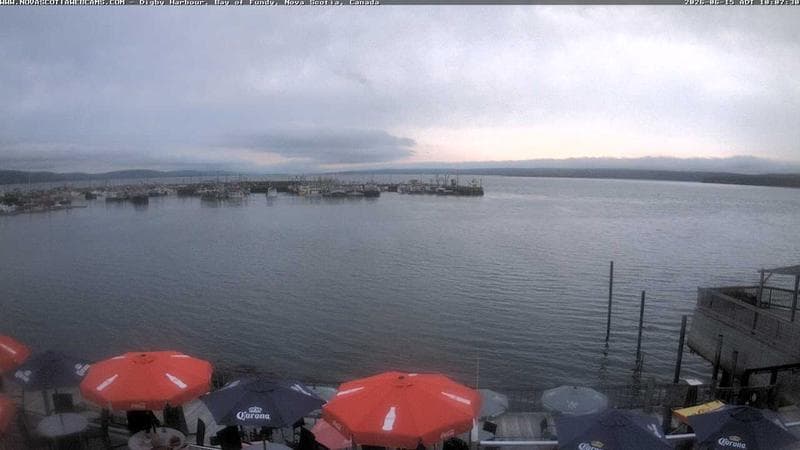 Digby Harbour