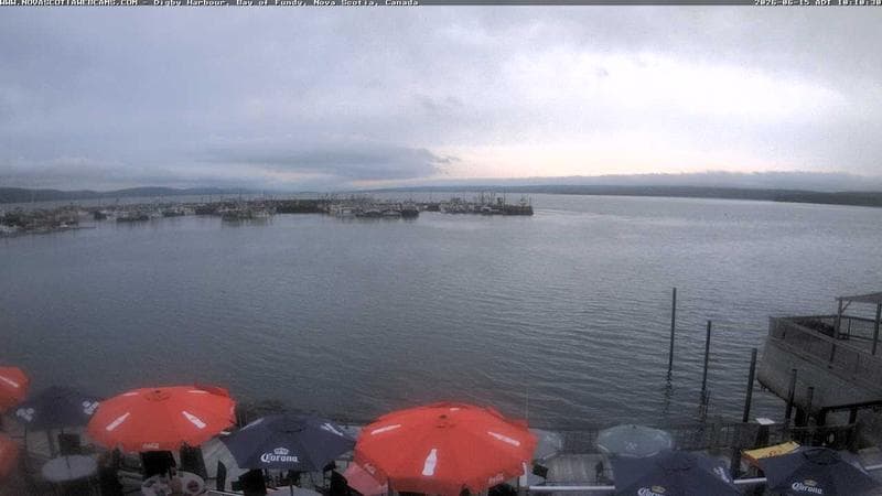 Digby Harbour