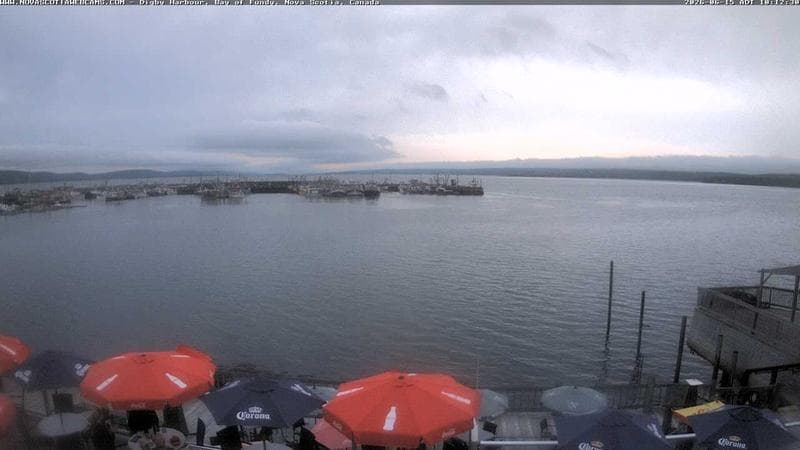 Digby Harbour