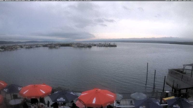 Digby Harbour