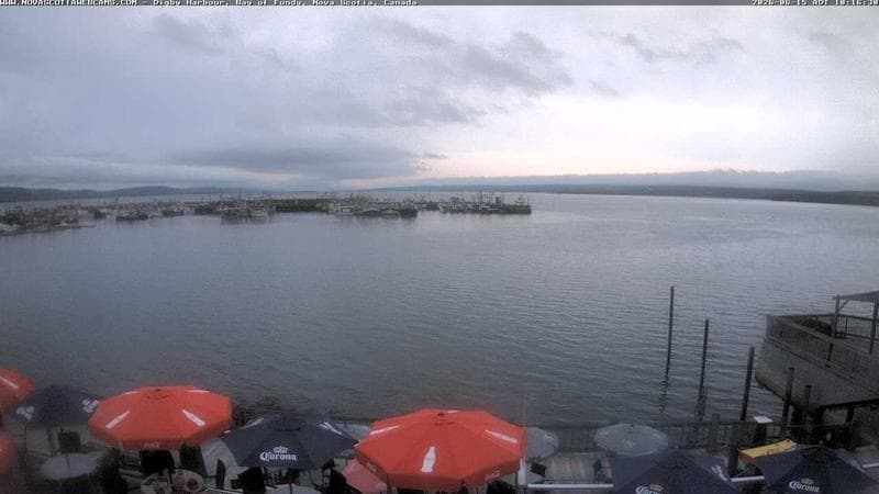 Digby Harbour
