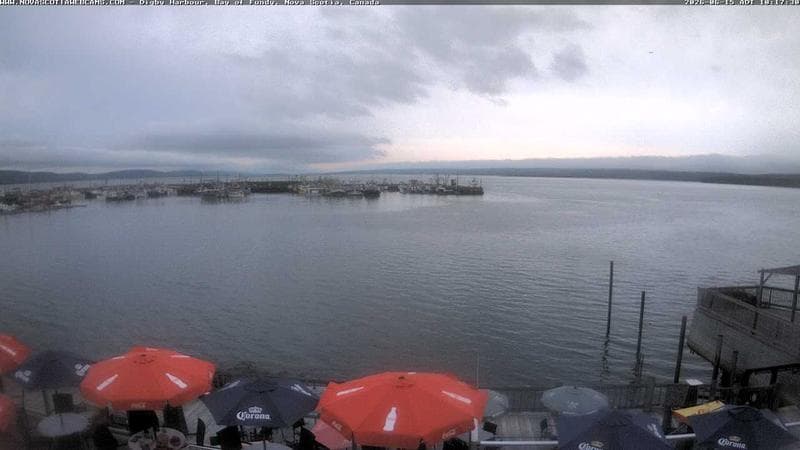 Digby Harbour