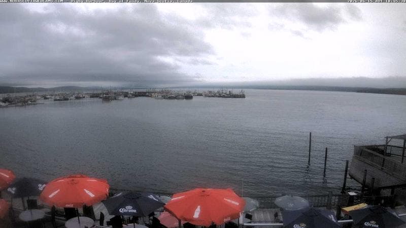 Digby Harbour