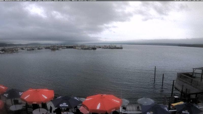 Digby Harbour