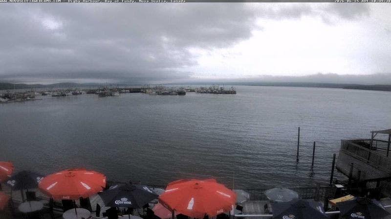 Digby Harbour