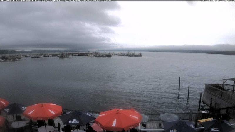 Digby Harbour