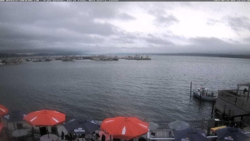 Digby Harbour