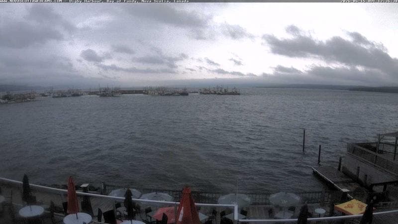 Digby Harbour