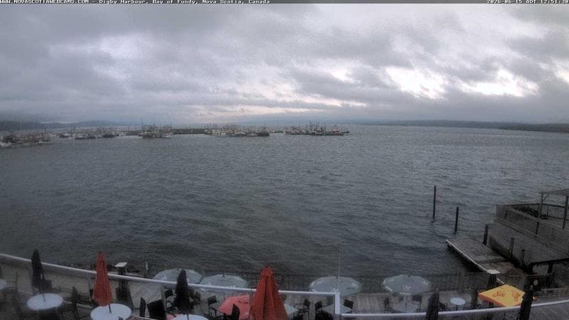 Digby Harbour