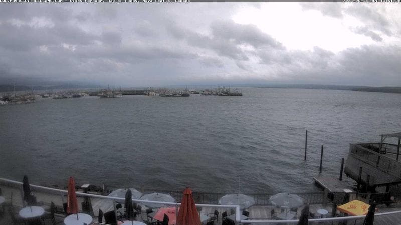 Digby Harbour