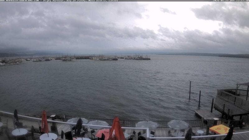Digby Harbour