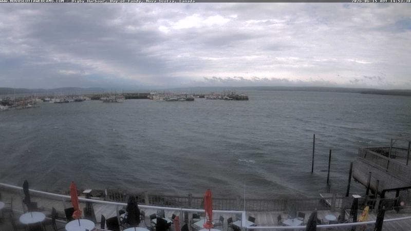 Digby Harbour