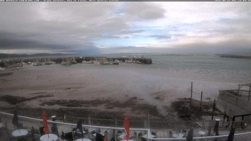 Digby Harbour