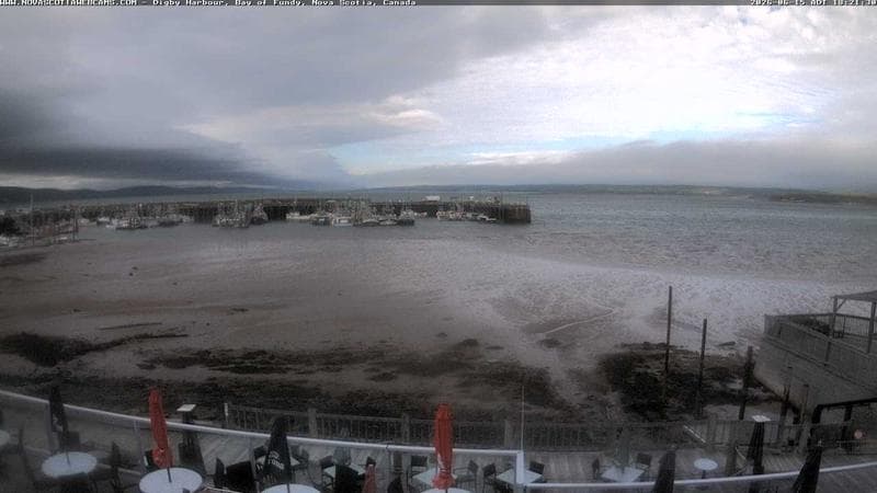Digby Harbour