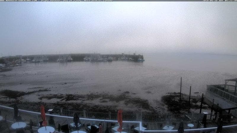 Digby Harbour