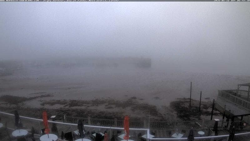 Digby Harbour