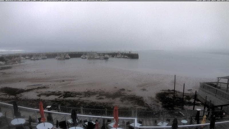 Digby Harbour