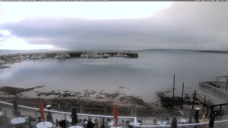 Digby Harbour