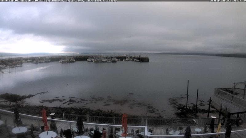 Digby Harbour