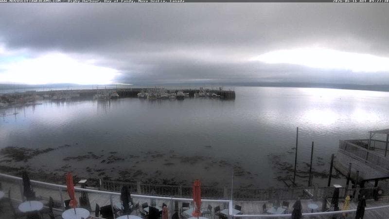 Digby Harbour