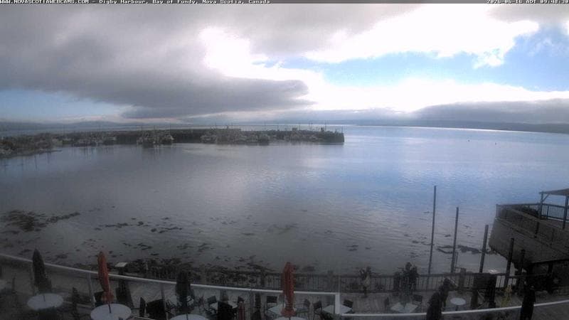 Digby Harbour